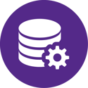 Database