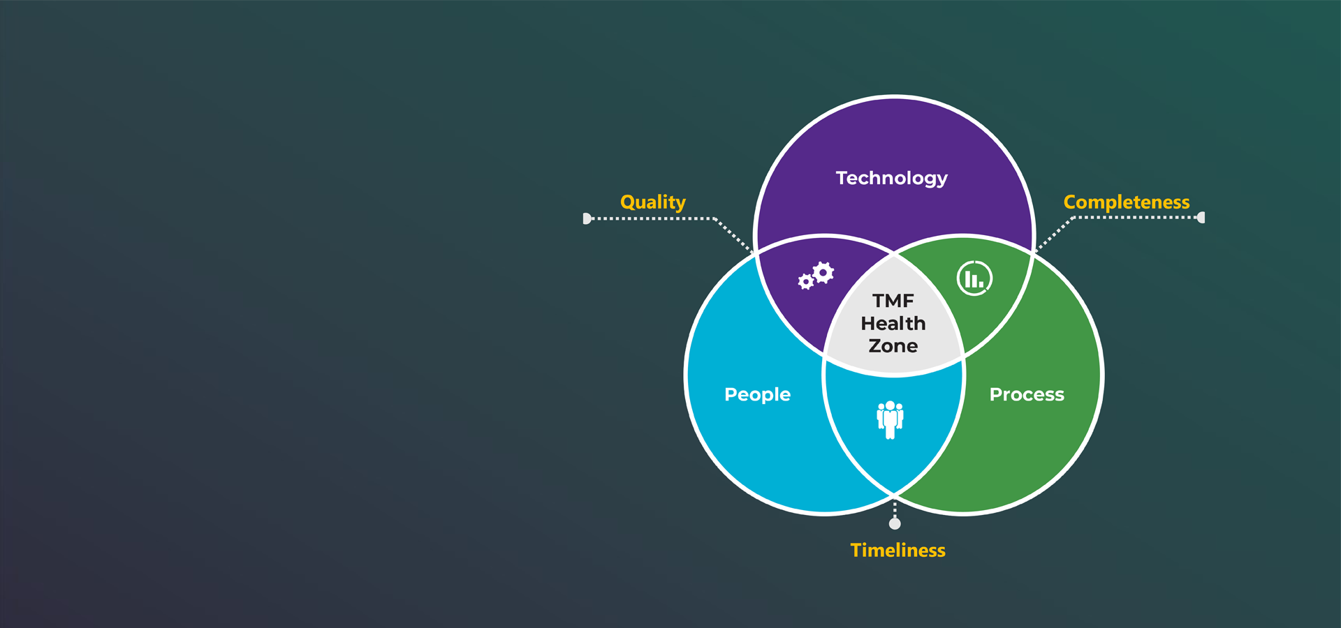 TMF Health Zone Web Background