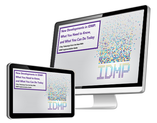 IDMP Executi8ve Brief Computer Screen