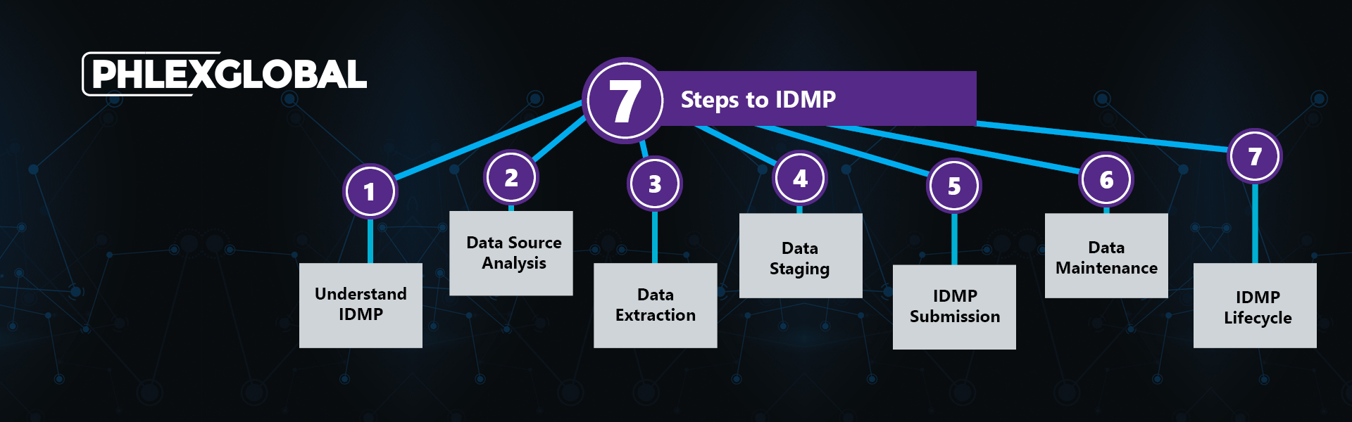 IDMP 7 Steps with Logo