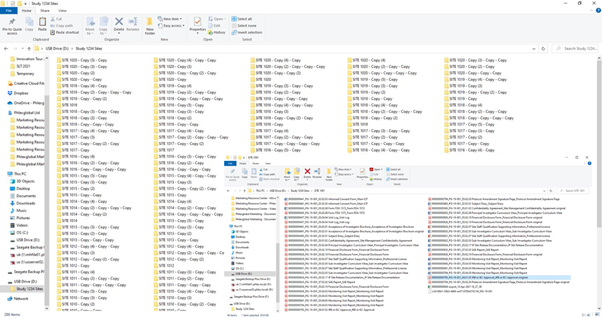 Files nest within the folder
